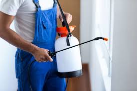 Reliable Aliso Viejo, CA Pest control Solutions